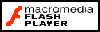 DOWNLOAD MACROMEDIA FLASH PLAYER